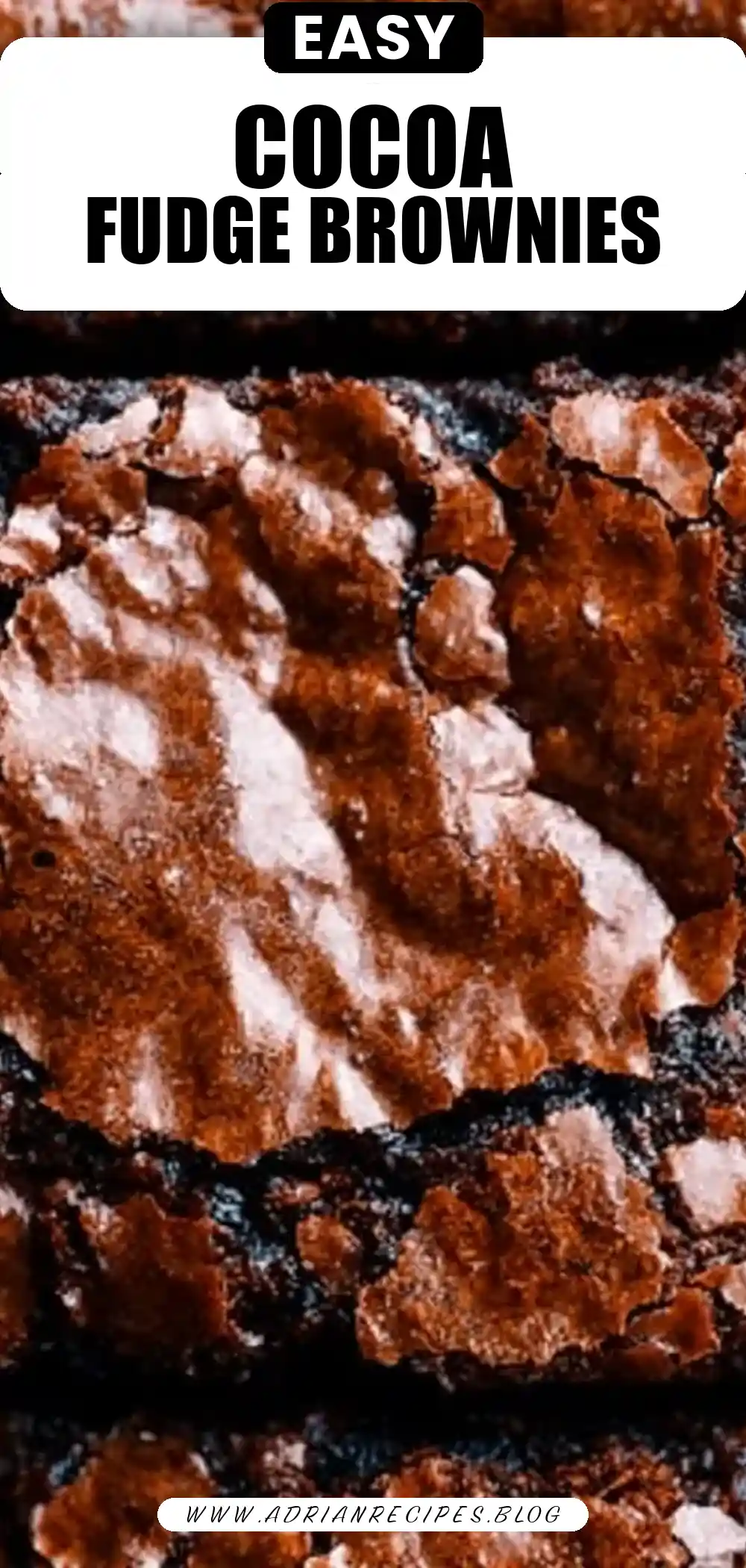 The Best Cocoa Fudge Brownies