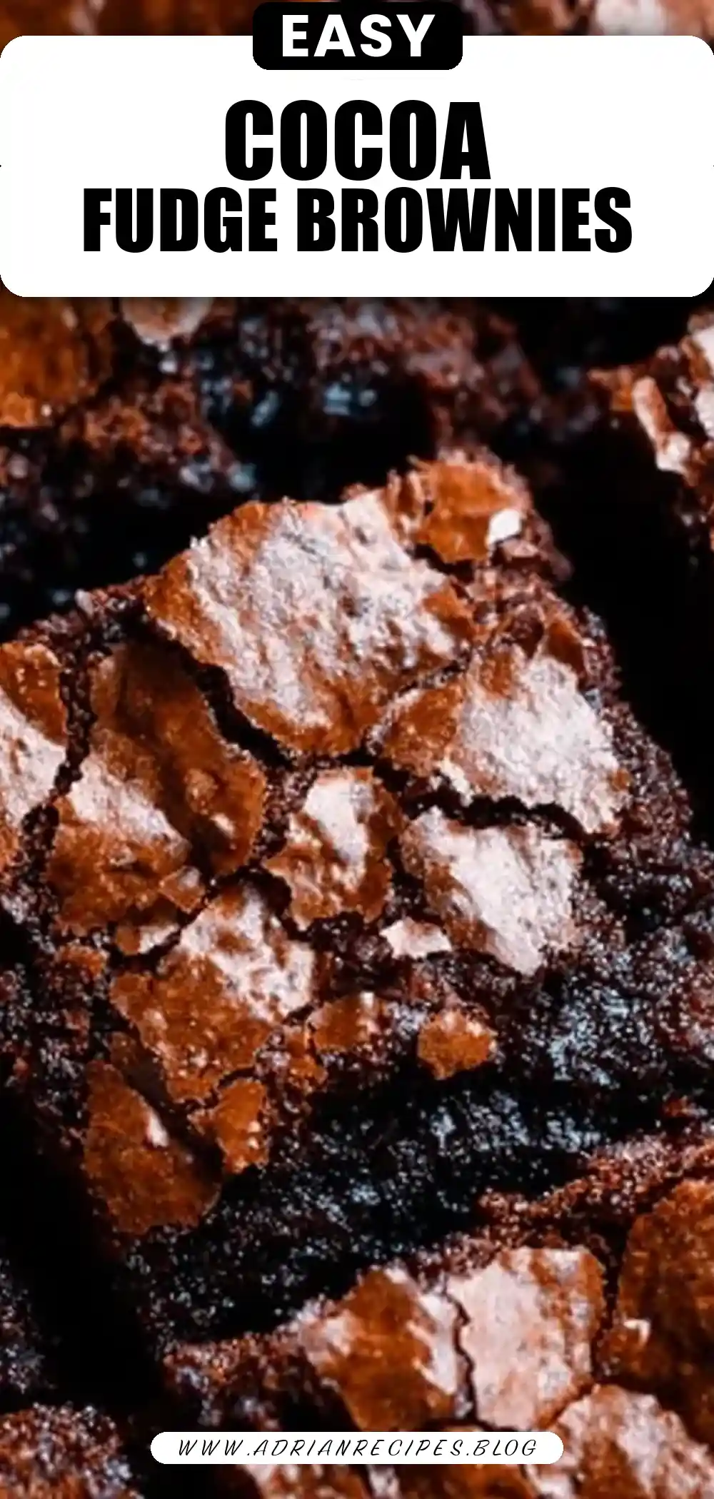 The Best Cocoa Fudge Brownies