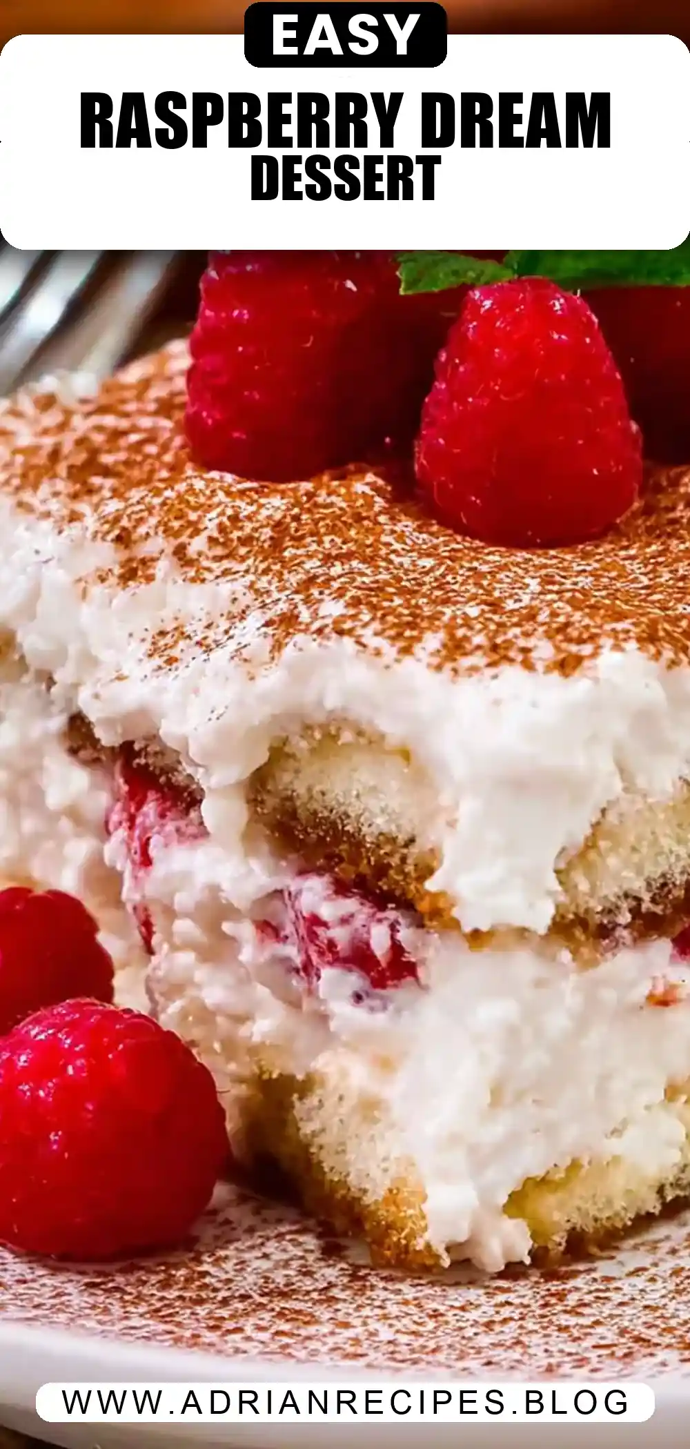 Raspberry Tiramisu