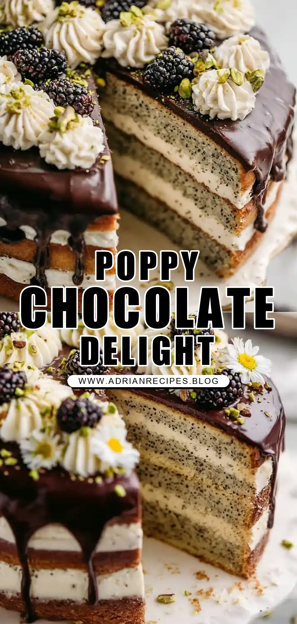 Poppy Seed Cake with Chocolate Ganache