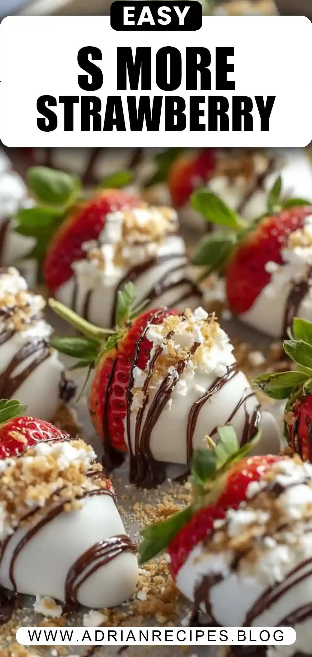 S’more Dipped Strawberries Recipe