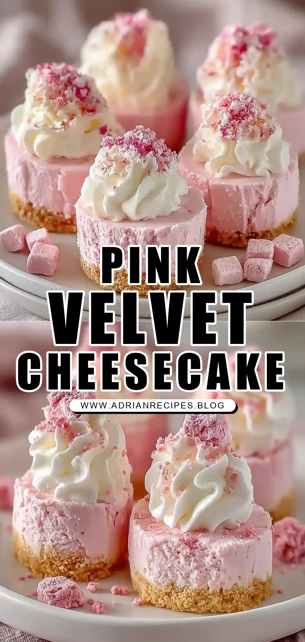 No Bake Pink Velvet Cheesecake Bites: Easy, Creamy, and Perfectly Pretty